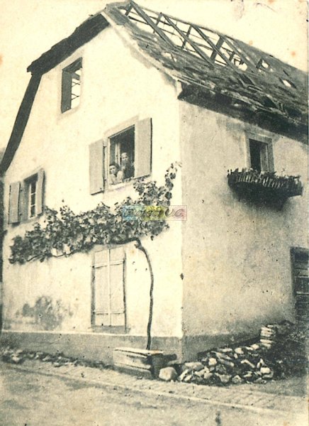Wuenheim